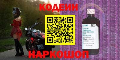 гашик Кандалакша