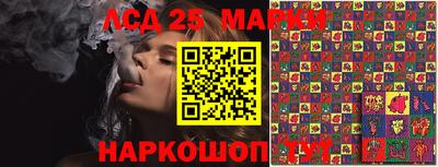 гашик Кандалакша