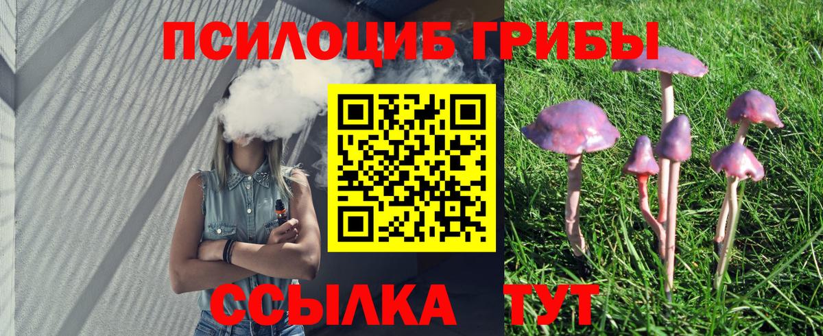 Галлюциногенные грибы мухоморы Кулебаки